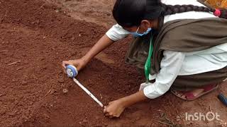 Preparing Garden Bed For Planting Vegetables [upl. by Tinor]