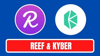 Reef Finance REEF amp Kyber Network KNC to the Moon Best Crypto Asset in 2021 [upl. by Dnomaid]