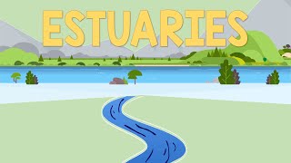 Estuaries  Biology Animation [upl. by Enitsyrhc]