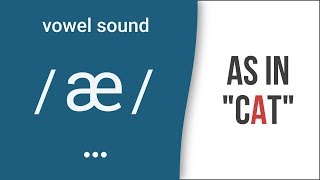 Vowel Sound  æ  as in quotcatquot  American English Pronunciation [upl. by Humphrey492]