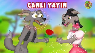 Türkçe  Çizgi Film amp Çocuk Masalları  CANLI YAYIN  KONDOSAN [upl. by Richer8]