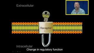 Hypothalamuspituitarygonadal axis [upl. by Nolur]