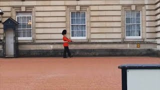 Guardsman in Trouble Over Buckingham Palace Pirouette  Forces TV [upl. by Marshall]