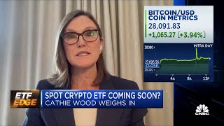 ARK Invest CEO Cathie Wood Hopes are rising that a number of Bitcoin ETFs will be approved [upl. by Braca]