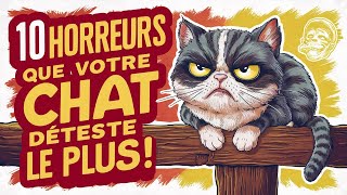 Les 10 HORREURS que votre CHAT DÉTESTE le PLUS [upl. by Telford]