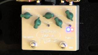 Cusack Music TapAFuzz Review  BestGuitarEffectscom [upl. by Ragas746]