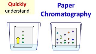 Paper Chromatography [upl. by Zephan]