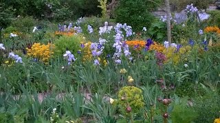 Monets Garden at Giverny 1452015 [upl. by Ester]