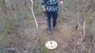 Detecting Bendigo Whipstick 401 gm gold nugget [upl. by Anippesuig]