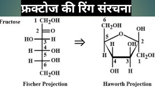 fructose Ring structure [upl. by Alacim]