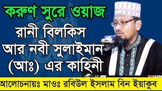 Bangla Waz Maolana Robiul Islam রানী বিলকিস আর নবী সুলাইমান [upl. by Yllak265]