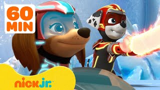 PAW Patrol Mighty Pups Use Their Super Powers w Liberty amp Marshall  1 Hour Compilation  Nick Jr [upl. by Alyk]