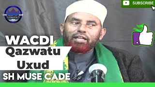 quotWACDI  QAZWATU UXID  SH MUSE CADEquot [upl. by Claudius]