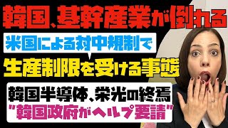 【絶対絶滅のピンチ】韓国の基幹産業が倒れる！米国の対中規制で、生産制限を受ける事態に。「韓国半導体、栄光の終焉」韓国政府がヘルプ要請。 [upl. by Olwena649]