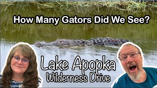 Driving Through GATOR Territory Wildlife Encounter at Lake Apopka [upl. by Donetta]