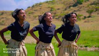 New Ethiopian oromo music KudhaameeWabii Tulluu [upl. by Anilatsyrc]