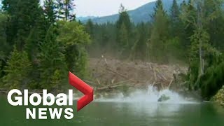 EPIC mudslide caught on camera Raw Video [upl. by Isiad]