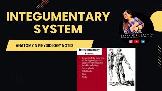 ANATOMYINTEGUMENTARYSYSTEMMEDICALCODINGExploring the Anatomy of the Integumentary System [upl. by Ajak597]