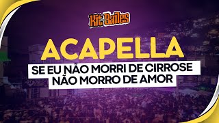 ACAPELLA  SE EU NAO MORRI DE CIRROSE  NAO MORRO DE AMOR  MC MAURICIO DA VI [upl. by Gwenore714]