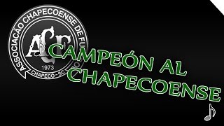 ♪ Campeón al Chapecoense ♪  Homenagem dos torcedores do Atlético Nacional ForçaChape [upl. by Conan]