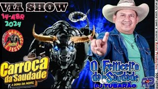 CARROÇA DA SAUDADE NA VIA SHOW  DJ TUBARÃO 140424 [upl. by Tillo168]