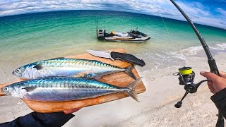 Pêcher et manger mon poisson sur une île paradisiaque isolée   Catch and Cook [upl. by Tabshey]