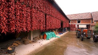 Сербская красная деревня Доня Локошница и ковроткачество Пирот внесенное в список ЮНЕСКО… [upl. by Stanislaus]