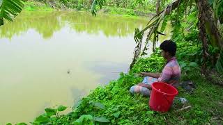 Hook Fishing  Village Boy Catch fish using hook in The Pond  Fresh Fishing TV [upl. by Oiled732]