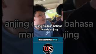 RANDOM BANGET‼️ APA KATA SAPI AJA DAH ngakak momenkocak [upl. by Lledor]