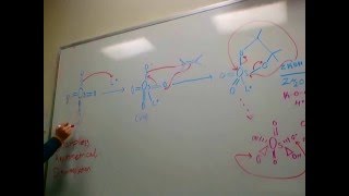 Sharpless Asymmetrical Dihydroxylation [upl. by Itida336]