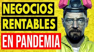 6 Negocios RENTABLES en Pandemia que se CATAPULTAN de la Crisis [upl. by Eramat]