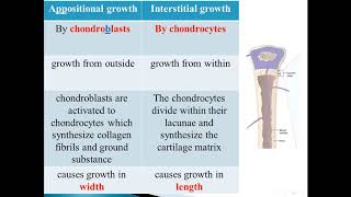 2020 growth of cartilage [upl. by Donald]