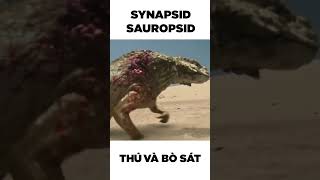 Tổ tiến của Thú và Bò sát Synapsid và Sauropsid dinosaur synapsid sauropsid tiếnhóa dongvat [upl. by Ettenoitna]