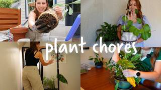 How to make your plants look great right now [upl. by Slen]