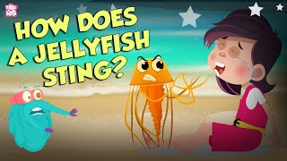 How Does A Jellyfish Sting  Everything About Jellyfish  Dr Binocs Show  Peekaboo Kidz [upl. by Punak13]