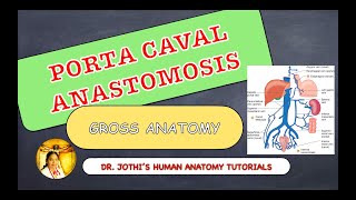 PORTACAVAL ANASTOMOSIS  GROSS ANATOMY  ENGLISHTAMIL [upl. by Anon]