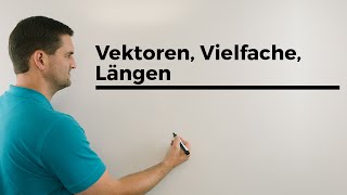 Vektoren Vielfache Längen Vektorgeometrie  Mathe by Daniel Jung [upl. by Audra55]