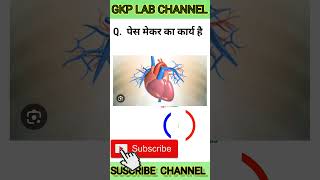 pais mekar ka kya karya hai ‽ shots gk bloodtest shortvideo 🫀🫀GKPLAB [upl. by Elime]