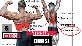 Best 5 Exercises quotLATISSIMUS DORSIquot Workout  SHREDDED BODY [upl. by Ativak529]