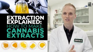 Extraction Explained How to Make Cannabis Extracts  Live Resin Shatter Craft Concentrates amp More [upl. by Kalina]