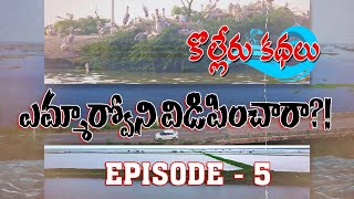 కొల్లేరు కథలు 5  ఎమ్మార్వోని విడిపించారా  Kolleru tales  G News  Social Journalist [upl. by Mord]