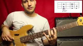 Major and Minor Scale  Beginner Bass Lesson  L2 [upl. by Anivle468]