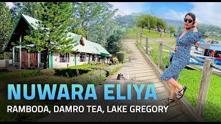 Nuwara Eliya Little England  Most Beautiful Places to Visit  Travel Vlog [upl. by Merth]