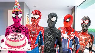 PRO 5 SPIDERMAN Team  Help Everyone On Spider Girl Birthday  Action in Real Life  by Bunny Life [upl. by Prue384]