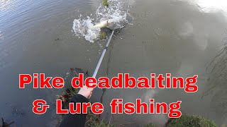 Deadbaiting and lure fishing Burton constable lake feb 2024 [upl. by Aylad]