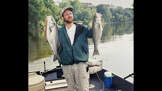 Coosa River Striped Bass In The Rome City Limits [upl. by Honora]