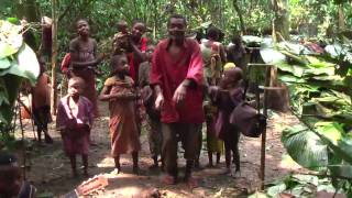 Baka Pygmy guitarists in the cameroon rainforest [upl. by Chicky]