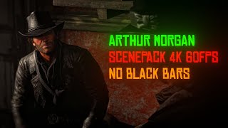 Arthur Morgan Chapters 46 Scenepack  4k 60fps [upl. by Eniamret]