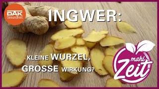 Ingwer Wie gesund ist die Wurzel wirklich  mahlZeit  DAKGesundheit [upl. by Tips]