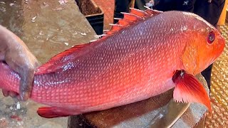 Incredible Giant Red Snapper Fish Cutting Skill  Expert Fish Cutter In Bangladesh [upl. by Drarehs603]